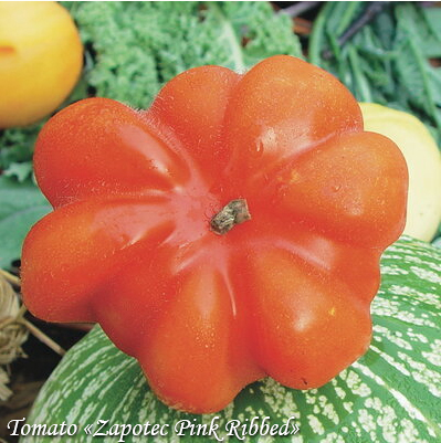 Tomato Zapotec Pink Ribbed